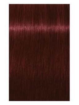Comprar Schwarzkopf Tinte Permanente IGORA ROYAL 60ml. Nº 4-88 Castaño medio rojo intenso en Tintes con amoniaco por sólo 13,82 € o un precio específico de 8,29 € en Thalie Care