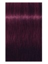 Comprar Schwarzkopf Tinte Permanente IGORA ROYAL 60ml. Nº 6-99 Rubio oscuro violeta intenso en Tintes con amoniaco por sólo 13,82 € o un precio específico de 8,29 € en Thalie Care