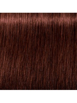 Comprar Schwarzkopf Tinte Permanente IGORA ABSOLUTES 60ml. Nº 5-80 Castaño claro rojo natural en Inicio por sólo 13,50 € o un precio específico de 8,10 € en Thalie Care