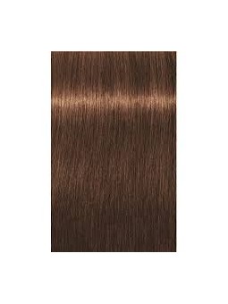 Comprar Schwarzkopf Tinte Permanente IGORA ABSOLUTES 60ml. Nº 7-560 Rubio medio dorado chocolatenatural en Tintes con amoniaco por sólo 13,50 € o un precio específico de 8,10 € en Thalie Care
