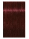 Liquidación en nuestro Outlet de Schwarzkopf Tinte ESSENSITY Sin Amoniaco Nature 4-88 Castaño medio rojo intenso 60 ml por tan solo11,92 € y a un precio específico de 6,14 € en Thalie Care