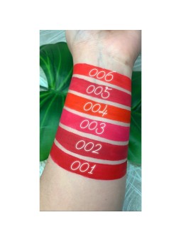 Comprar Wynie labial liquido Pout Matte 24H 002 en Inicio por sólo 2,95 € o un precio específico de 2,95 € en Thalie Care