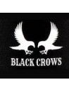 Black Crows