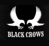 Black Crows